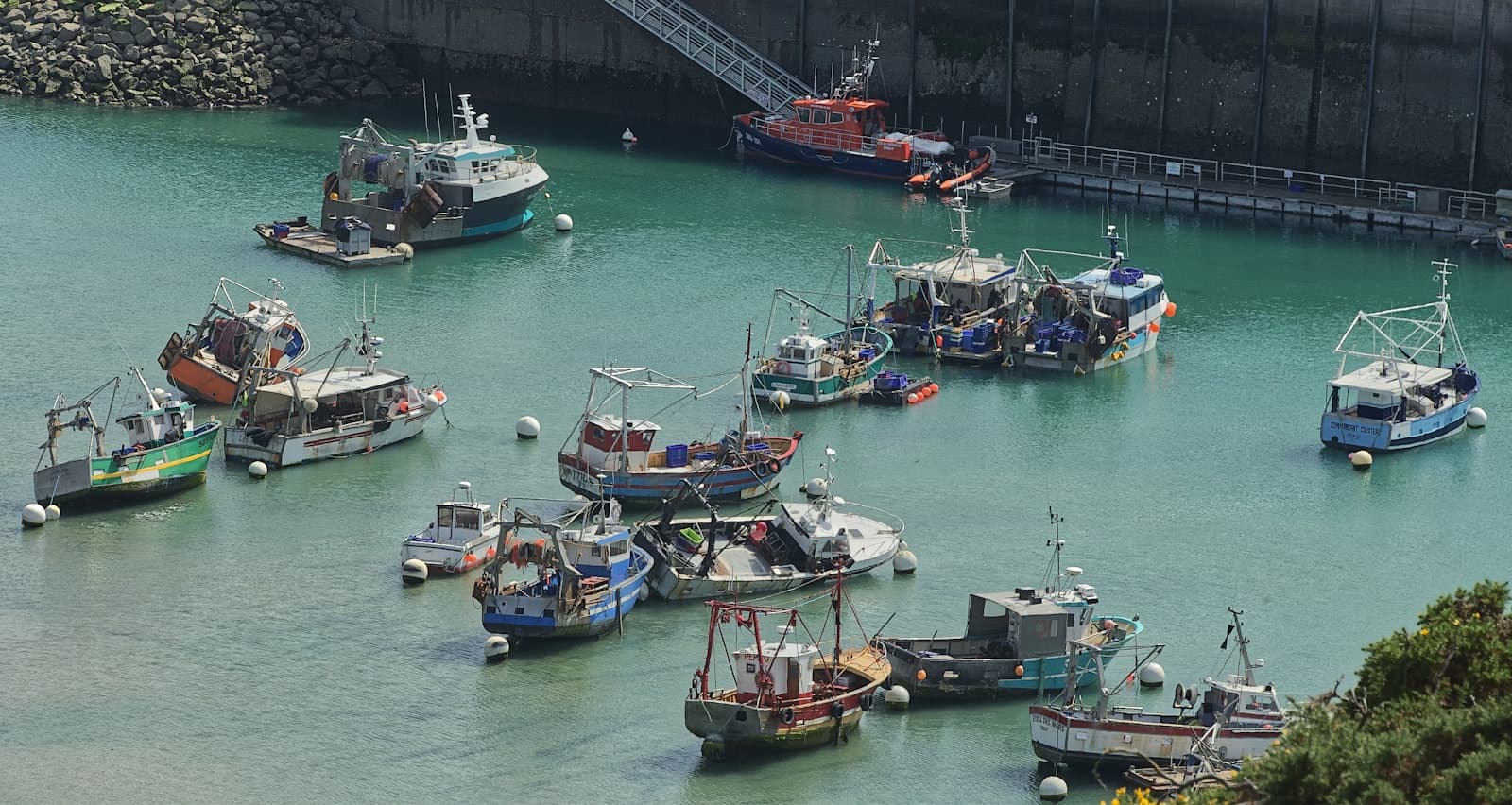 Boats in a harbor at low tide